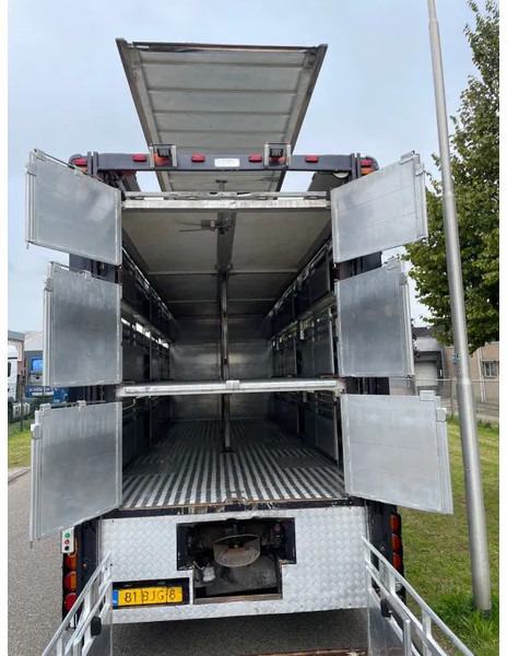 DAF XF 460 2017 berdex 3 lagen varkens - Camion bétaillère: photos 3 DAF XF 460 2017 berdex 3 lagen varkens - Camion bétaillère: photos 3