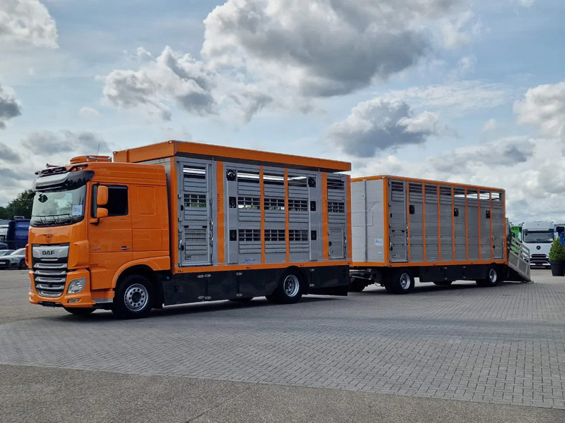 DAF XF 530 4x2 - Livestock Menke 2 deck + 2018 Menke trailer - Water + Ventilation - Lifting roof - Camion bétaillère: photos 3 DAF XF 530 4x2 - Livestock Menke 2 deck + 2018 Menke trailer - Water + Ventilation - Lifting roof - Camion bétaillère: photos 3
