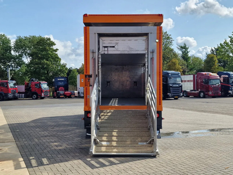 DAF XF 530 4x2 - Livestock Menke 2 deck + 2018 Menke trailer - Water + Ventilation - Lifting roof - Camion bétaillère: photos 5 DAF XF 530 4x2 - Livestock Menke 2 deck + 2018 Menke trailer - Water + Ventilation - Lifting roof - Camion bétaillère: photos 5
