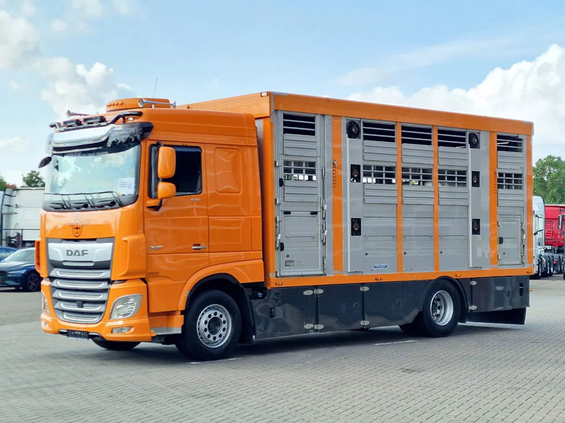 DAF XF 530 4x2 - Livestock Menke 2 deck water & ventilation - Camion bétaillère: photos 5 DAF XF 530 4x2 - Livestock Menke 2 deck water & ventilation - Camion bétaillère: photos 5