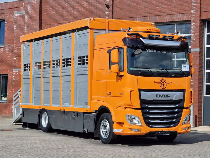 DAF XF 530 4x2 - Livestock Menke 2 deck water & ventilation - Camion bétaillère: photos 1 DAF XF 530 4x2 - Livestock Menke 2 deck water & ventilation - Camion bétaillère: photos 1