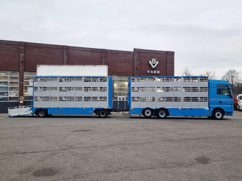 MAN TGX 26.440 6x2*4 - 3 deck Livestock - Water & Ventilation + Jumbo/Bekkers 3 deck trailer - Camion bétaillère: photos 3 MAN TGX 26.440 6x2*4 - 3 deck Livestock - Water & Ventilation + Jumbo/Bekkers 3 deck trailer - Camion bétaillère: photos 3