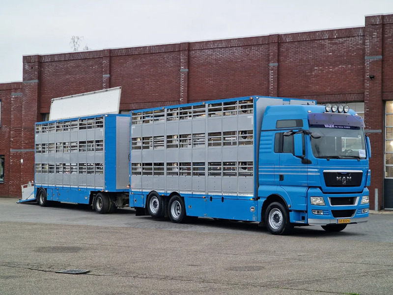 MAN TGX 26.440 6x2*4 - 3 deck Livestock - Water & Ventilation + Jumbo/Bekkers 3 deck trailer - Camion bétaillère: photos 1 MAN TGX 26.440 6x2*4 - 3 deck Livestock - Water & Ventilation + Jumbo/Bekkers 3 deck trailer - Camion bétaillère: photos 1