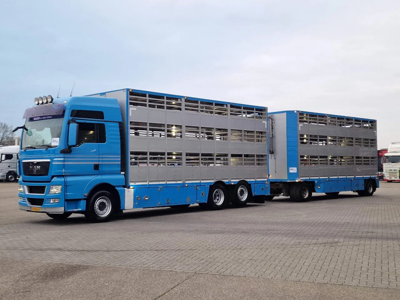 MAN TGX 26.440 6x2*4 - 3 deck Livestock - Water & Ventilation + Jumbo/Bekkers 3 deck trailer - Camion bétaillère: photos 4 MAN TGX 26.440 6x2*4 - 3 deck Livestock - Water & Ventilation + Jumbo/Bekkers 3 deck trailer - Camion bétaillère: photos 4
