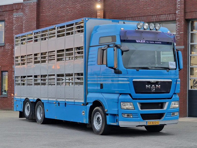 MAN TGX 26.440 6x2*4 - 3 deck Livestock - Water & Ventilation - Manual gearbox - Steering axle - Camion bétaillère: photos 2 MAN TGX 26.440 6x2*4 - 3 deck Livestock - Water & Ventilation - Manual gearbox - Steering axle - Camion bétaillère: photos 2