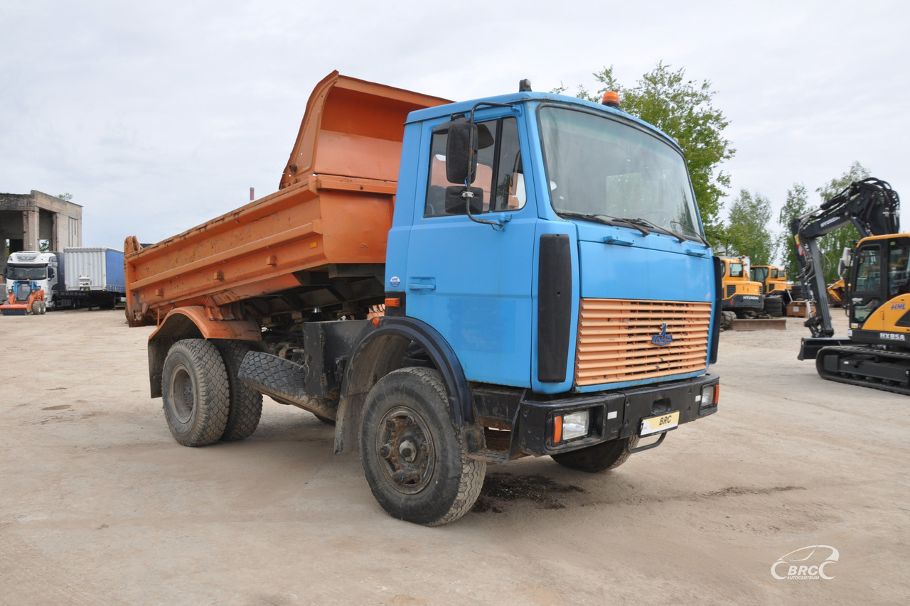 MAZ 5551 - Camion benne: photos 2 MAZ 5551 - Camion benne: photos 2
