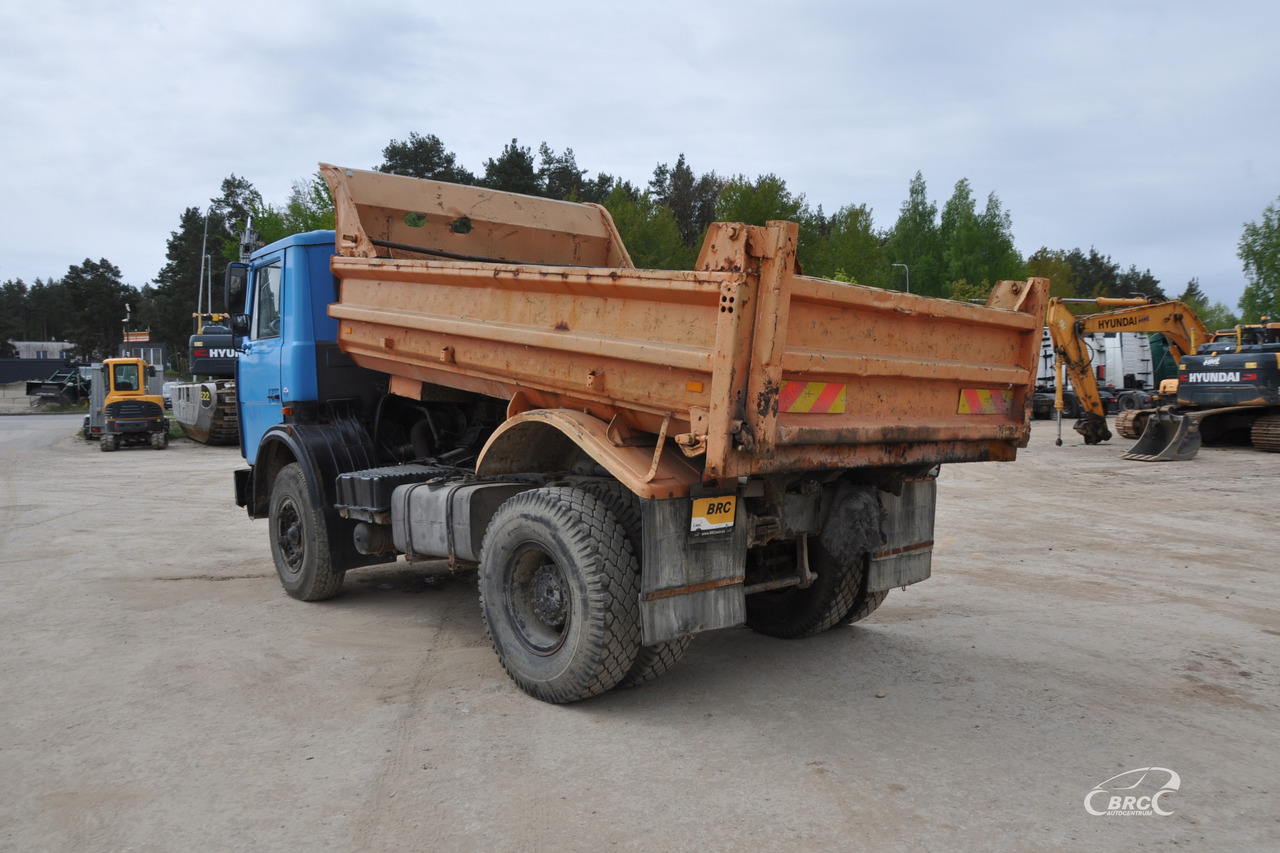 MAZ 5551 - Camion benne: photos 4 MAZ 5551 - Camion benne: photos 4