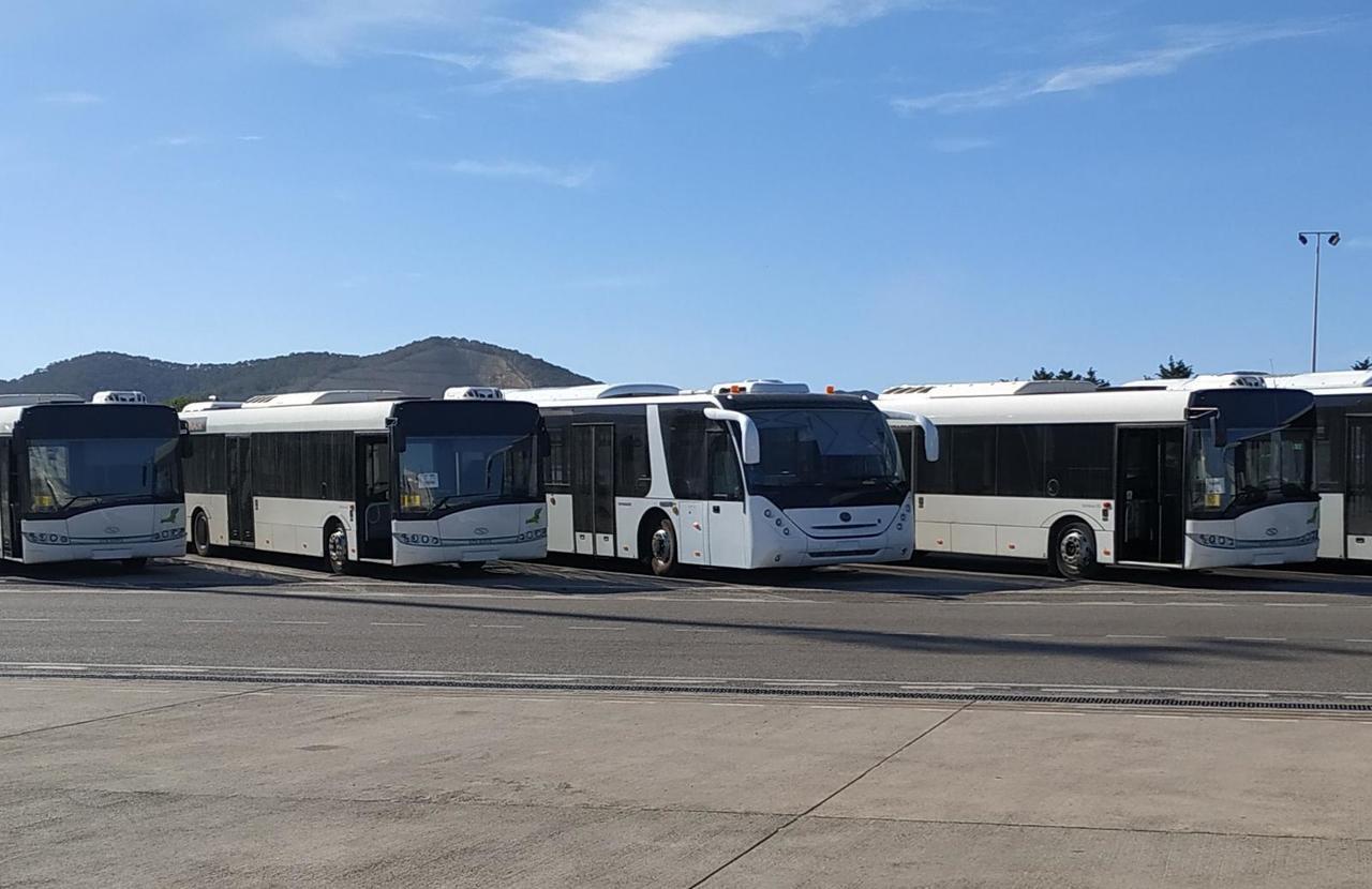 Solaris Urbino 12 - Bus de l'aéroport: photos 1 Solaris Urbino 12 - Bus de l'aéroport: photos 1