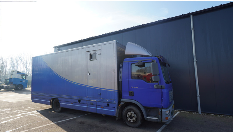 MAN TGL 8.180 HORSE TRANPORT 515.000KM - Camion chevaux: photos 4 MAN TGL 8.180 HORSE TRANPORT 515.000KM - Camion chevaux: photos 4