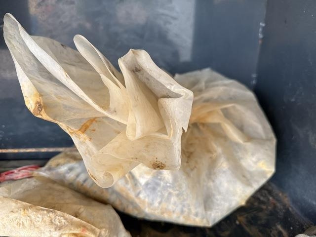 Concasseur Keestrack B5E: photos 19