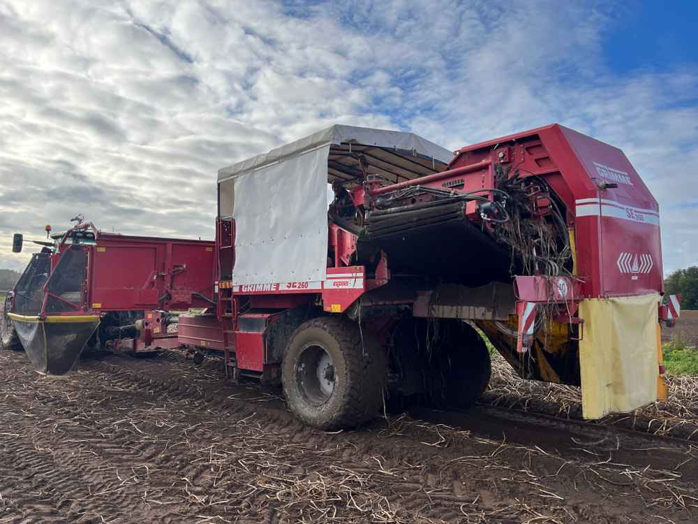 Grimme SE-260-UB - Matériel de récolte: photos 4 Grimme SE-260-UB - Matériel de récolte: photos 4