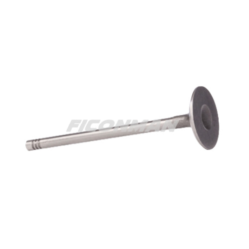 Iveco Daily Fiat Ducato F1AE Intake Valve 500362855 / 504069199 - Valve pour Véhicule utilitaire: photos 1 Iveco Daily Fiat Ducato F1AE Intake Valve 500362855 / 504069199 - Valve pour Véhicule utilitaire: photos 1