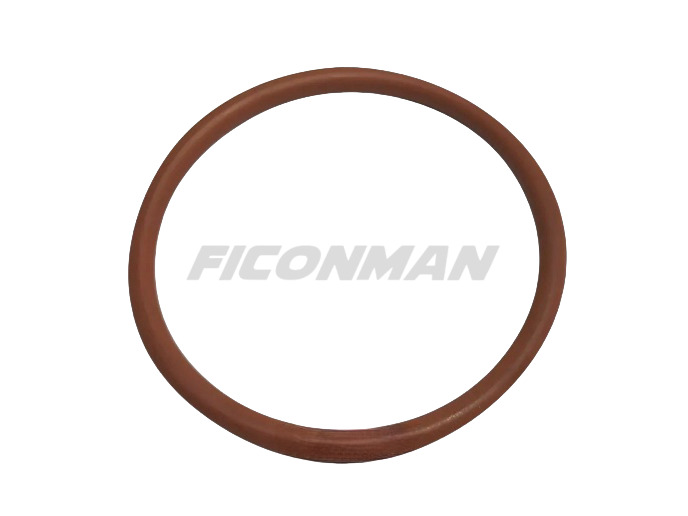 FPT IVECO Cursor9/Cursor11 F2CFE612A/B F3GFE611 Seal Ring 14464381 17289781 504130575 - Pièces de rechange: photos 1 FPT IVECO Cursor9/Cursor11 F2CFE612A/B F3GFE611 Seal Ring 14464381 17289781 504130575 - Pièces de rechange: photos 1