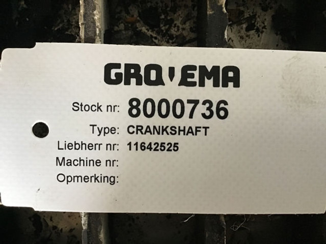 Liebherr Crankshaft - Vilebrequin: photos 4 Liebherr Crankshaft - Vilebrequin: photos 4