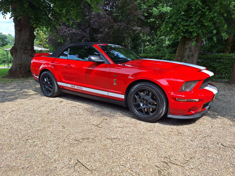 Ford Mustang FORD MUSTANG SHELBY GT500 COBRA 5.4 V8 gt500 cabrio originele - Voiture: photos 4 Ford Mustang FORD MUSTANG SHELBY GT500 COBRA 5.4 V8 gt500 cabrio originele - Voiture: photos 4