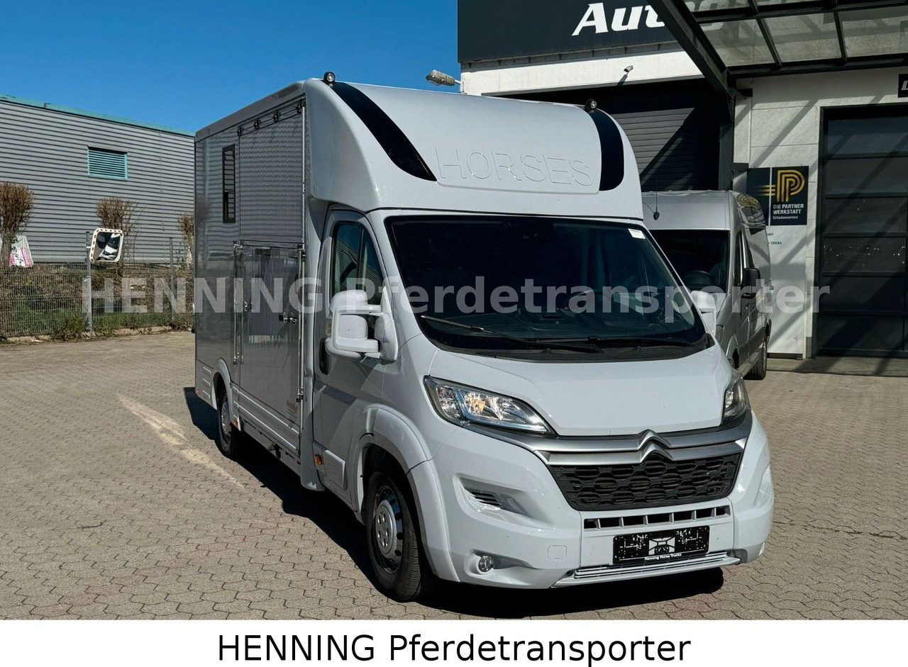 Citroën Jumper 3 - Sitzer *AUFBAU NEU* - Camion chevaux: photos 2 Citroën Jumper 3 - Sitzer *AUFBAU NEU* - Camion chevaux: photos 2