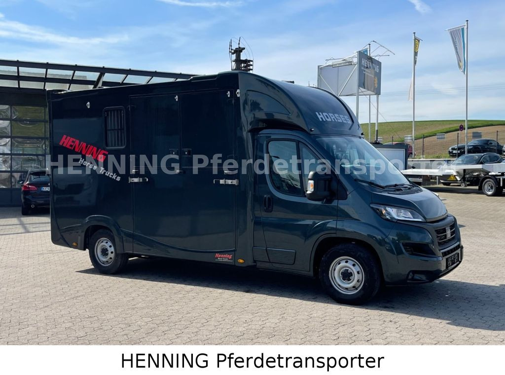 Fiat Ducato 3 - Sitzer *VORFÜHRUNGSFAHRZEUG* - Camion chevaux: photos 3 Fiat Ducato 3 - Sitzer *VORFÜHRUNGSFAHRZEUG* - Camion chevaux: photos 3