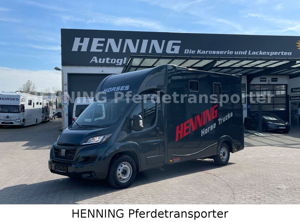 Fiat Ducato 3 - Sitzer *VORFÜHRUNGSFAHRZEUG* - Camion chevaux: photos 1 Fiat Ducato 3 - Sitzer *VORFÜHRUNGSFAHRZEUG* - Camion chevaux: photos 1