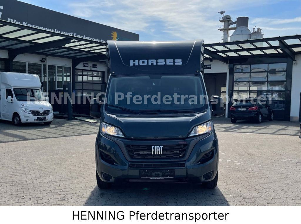 Fiat Ducato 3 - Sitzer *VORFÜHRUNGSFAHRZEUG* - Camion chevaux: photos 2 Fiat Ducato 3 - Sitzer *VORFÜHRUNGSFAHRZEUG* - Camion chevaux: photos 2