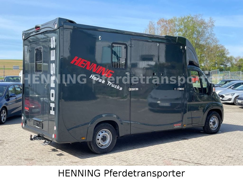 Fiat Ducato 3 - Sitzer *VORFÜHRUNGSFAHRZEUG* - Camion chevaux: photos 4 Fiat Ducato 3 - Sitzer *VORFÜHRUNGSFAHRZEUG* - Camion chevaux: photos 4