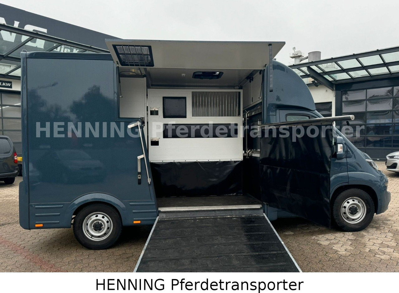 Fiat Ducato *AUTOMATIK* 3 - Sitzer - Camion bétaillère: photos 4 Fiat Ducato *AUTOMATIK* 3 - Sitzer - Camion bétaillère: photos 4