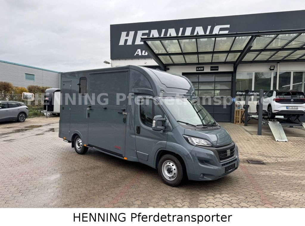 Fiat Ducato *NEUWAGEN* ca.1100 kg Nutzlast - Camion chevaux: photos 1 Fiat Ducato *NEUWAGEN* ca.1100 kg Nutzlast - Camion chevaux: photos 1