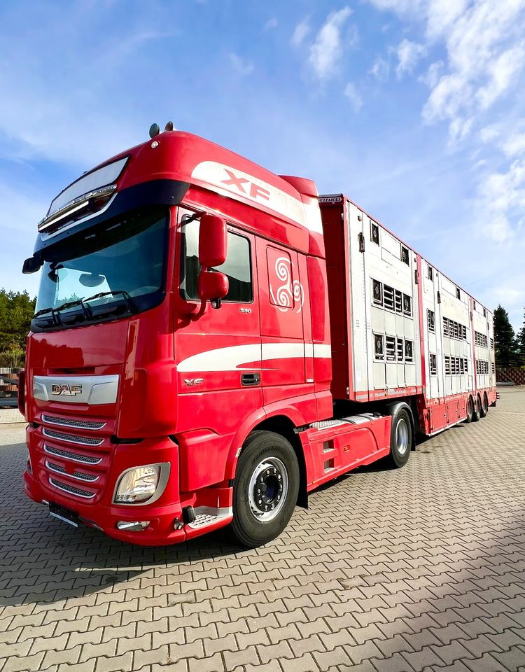 Pezzaioli NACZEPA 2017 / 3 POZIOMY / TRANSPORT ZWIERZĄT / HYDRAULIKA / STEROWANIE PILOTEM/ PODNOSZONY DACH / - Semi-remorque bétaillère: photos 5 Pezzaioli NACZEPA 2017 / 3 POZIOMY / TRANSPORT ZWIERZĄT / HYDRAULIKA / STEROWANIE PILOTEM/ PODNOSZONY DACH / - Semi-remorque bétaillère: photos 5