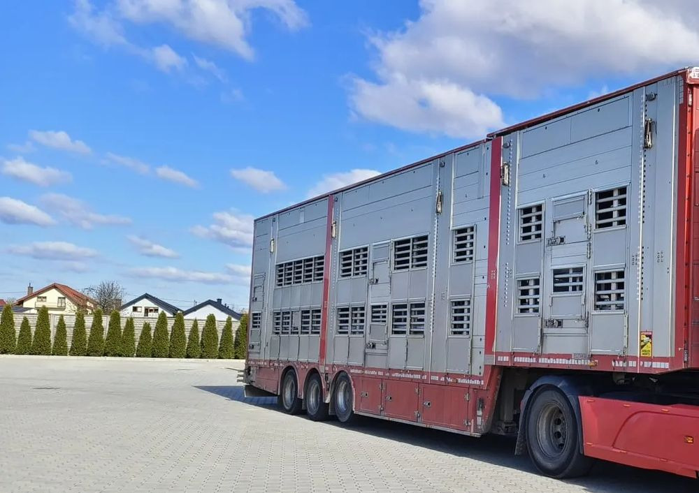 Pezzaioli SBA32/hydrauliczny dach/hydrauliczna rampa/ 3 poziomy/ 2xbydło -3xtrzoda/wentylatory/poidła/sterowanie pilotem - Semi-remorque bétaillère: photos 2 Pezzaioli SBA32/hydrauliczny dach/hydrauliczna rampa/ 3 poziomy/ 2xbydło -3xtrzoda/wentylatory/poidła/sterowanie pilotem - Semi-remorque bétaillère: photos 2
