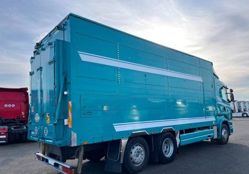 Scania R380 / 6x2 / Pezzaioli / 2-poziomowa zabudowa do przewozu zwierząt / Euro 3 / oś podnoszona / podnoszony dach - Camion bétaillère: photos 2 Scania R380 / 6x2 / Pezzaioli / 2-poziomowa zabudowa do przewozu zwierząt / Euro 3 / oś podnoszona / podnoszony dach - Camion bétaillère: photos 2