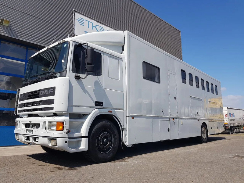 DAF 95.350 Paardenwagen met zitverblijf 7 paarden 7 horses - Camion chevaux: photos 1 DAF 95.350 Paardenwagen met zitverblijf 7 paarden 7 horses - Camion chevaux: photos 1