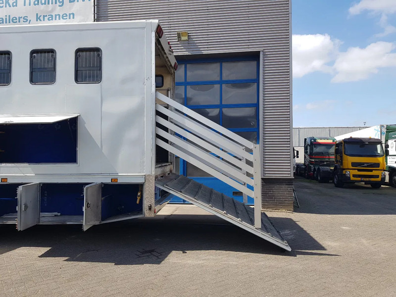 DAF 95.350 Paardenwagen met zitverblijf 7 paarden 7 horses - Camion chevaux: photos 5 DAF 95.350 Paardenwagen met zitverblijf 7 paarden 7 horses - Camion chevaux: photos 5