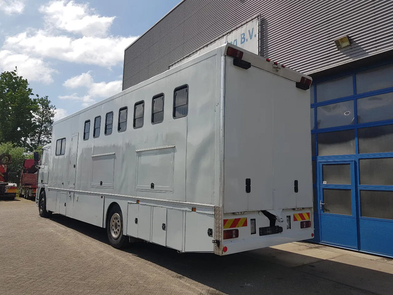 DAF 95.350 Paardenwagen met zitverblijf 7 paarden 7 horses - Camion chevaux: photos 4 DAF 95.350 Paardenwagen met zitverblijf 7 paarden 7 horses - Camion chevaux: photos 4