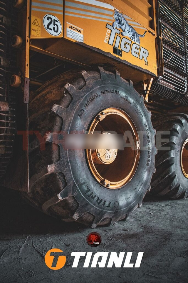 Tianli 750/65R26 (28LR26) AG RADIAL SPECIAL (AG-RS) 166A8/166B TL - Pneu pour Tracteur agricole: photos 3 Tianli 750/65R26 (28LR26) AG RADIAL SPECIAL (AG-RS) 166A8/166B TL - Pneu pour Tracteur agricole: photos 3