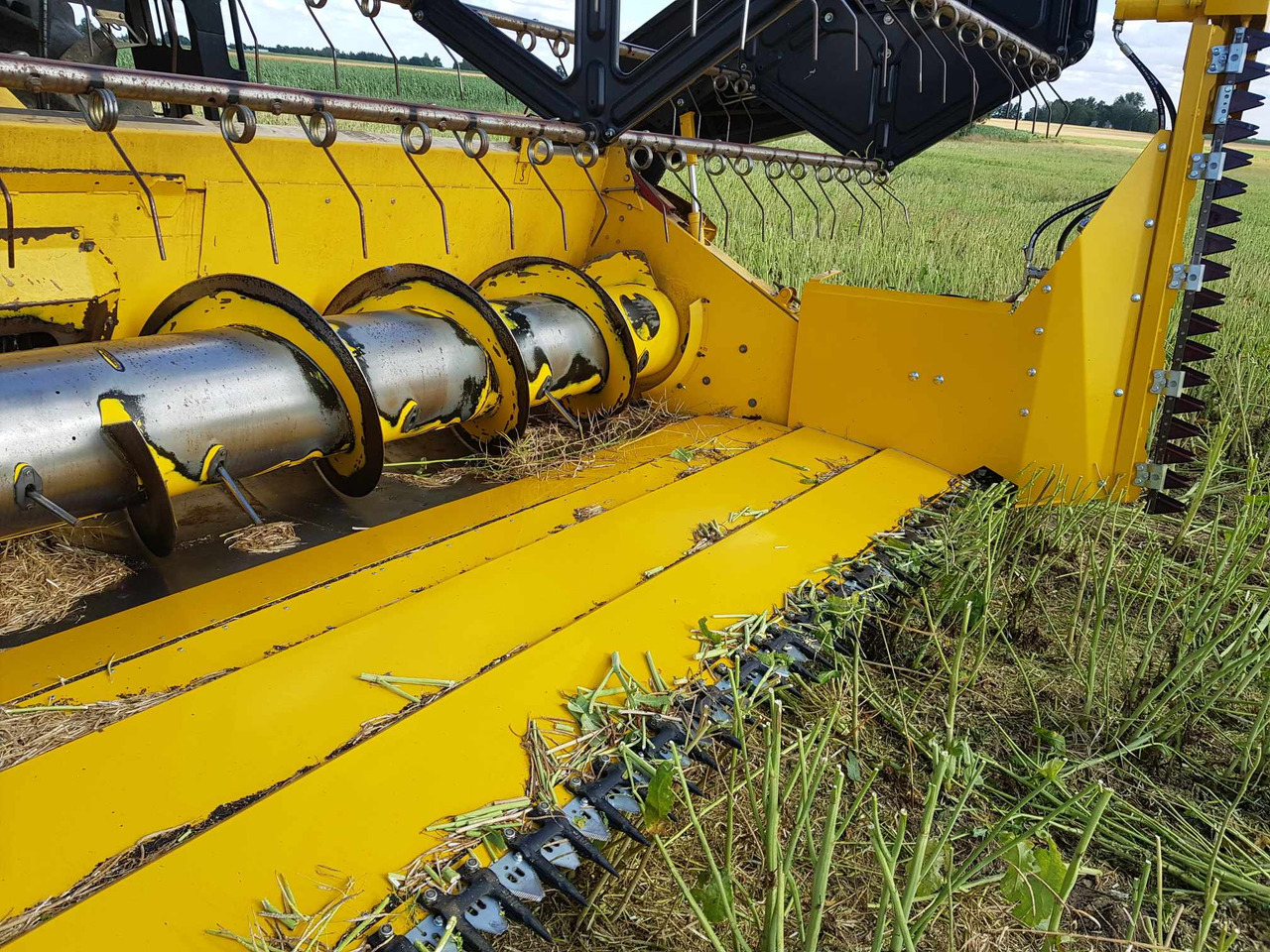 Scie à colza neuf Lupus Rapsvorsatz / Rape cutter / Barre de coupe à colza / Mesa de colza / Tavolo da colza / Рапсовый стол / Stół do rzepaku 6 m: photos 9