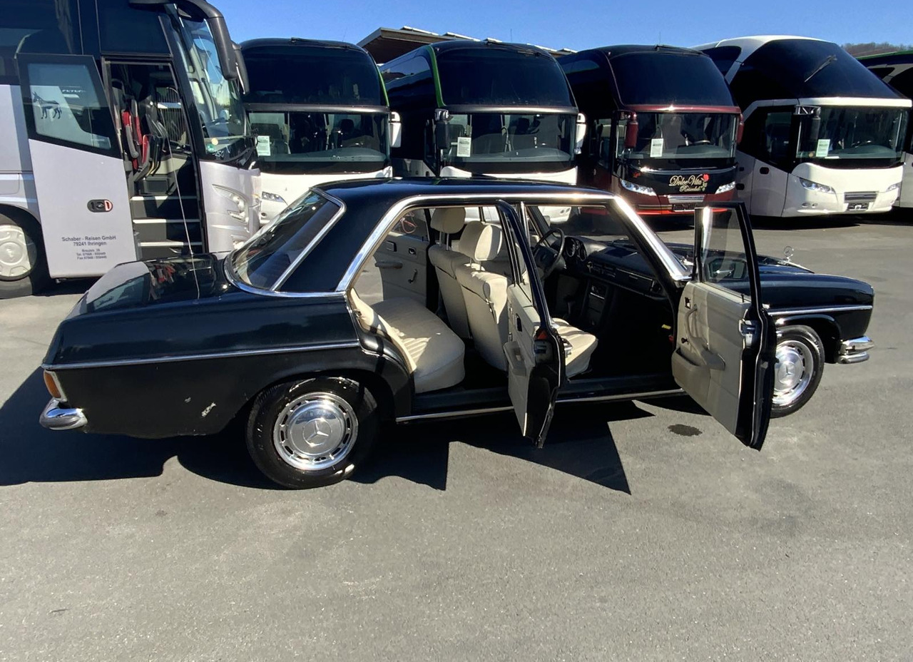 Voiture Mercedes-Benz 200 D/8: photos 6