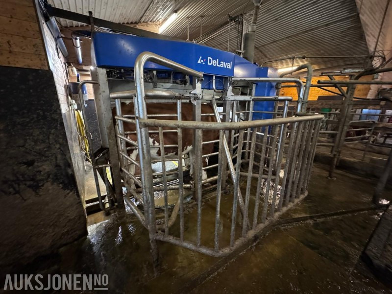 Machine agricole 2013 DeLaval VMS melkerobot med 1 kraftfôrstasjon FSC40 - Høyre utgave - Steam - Innredning og grinder foran - Vakuumpumpe - Fortsatt i daglig drift: photos 6