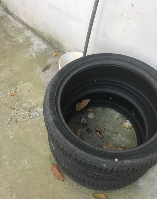 Anvelope Continental NOI ContisportContact 255 / 40 ZR 21 - Pneu pour Voiture: photos 1 Anvelope Continental NOI ContisportContact 255 / 40 ZR 21 - Pneu pour Voiture: photos 1