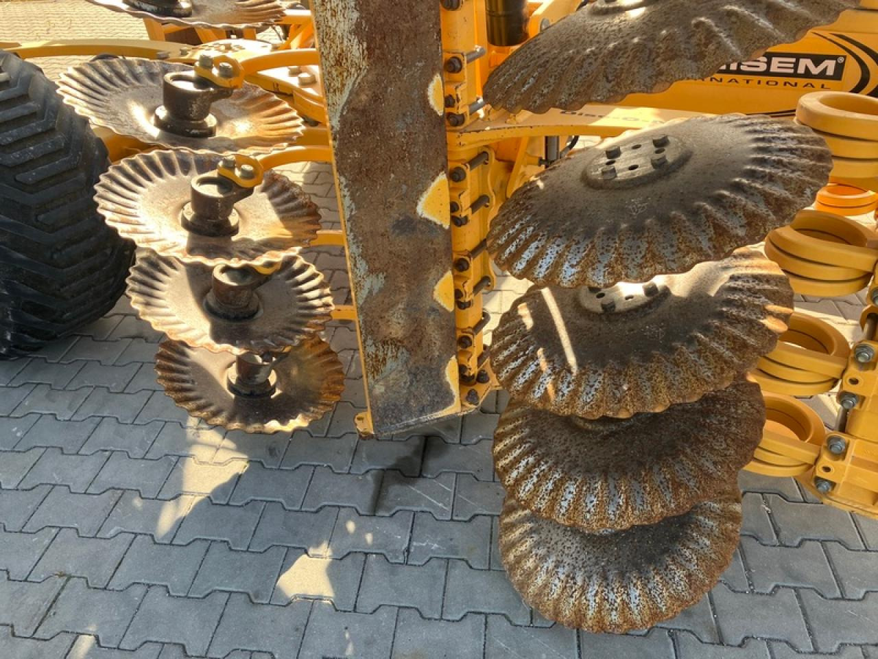 AGRISEM GOLD 4.5 - Cover crop: photos 5 AGRISEM GOLD 4.5 - Cover crop: photos 5