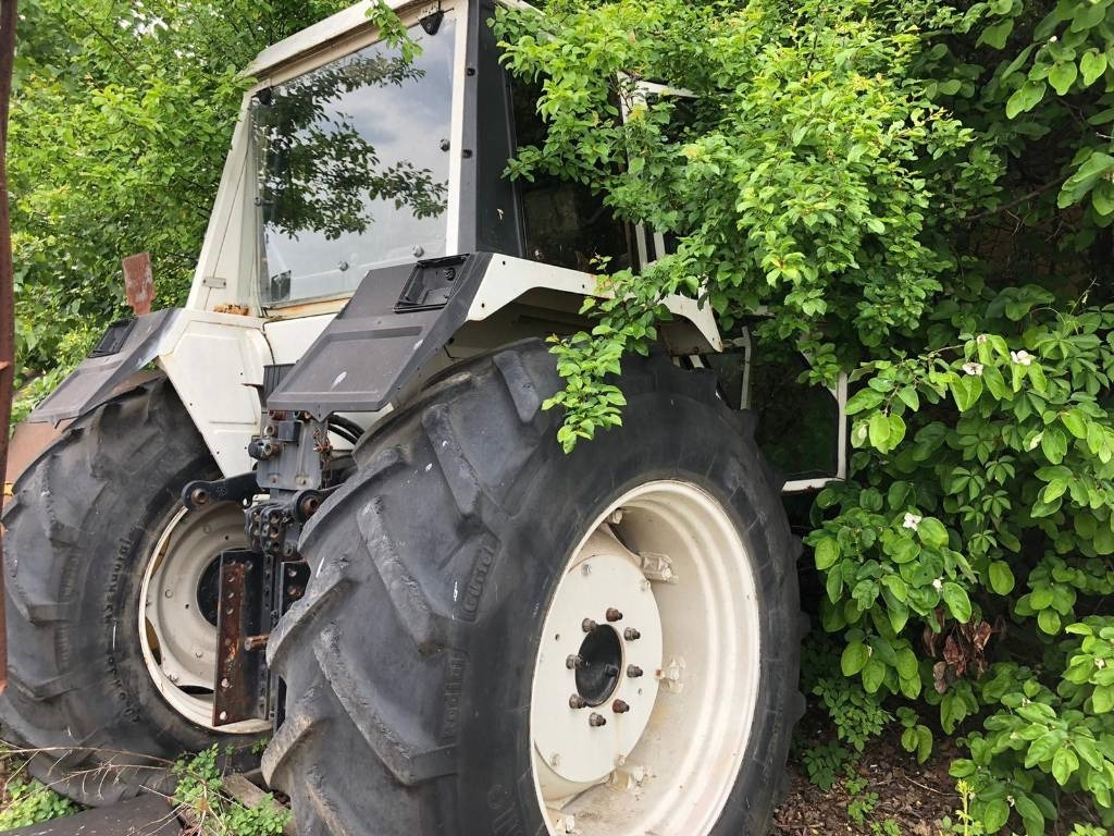 Lamborghini For Parts 1556 DT - Tracteur agricole: photos 3 Lamborghini For Parts 1556 DT - Tracteur agricole: photos 3