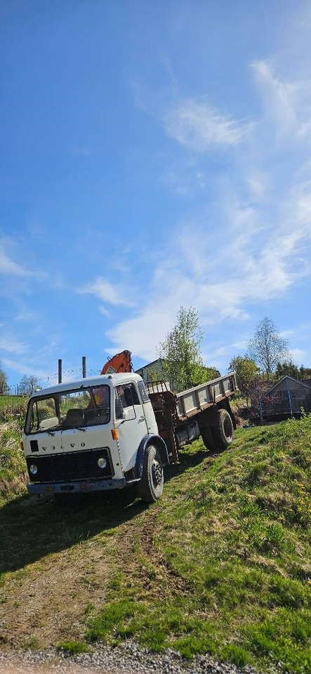 Volvo F 86 42 Hiab 550-2 - Camion grue: photos 5 Volvo F 86 42 Hiab 550-2 - Camion grue: photos 5