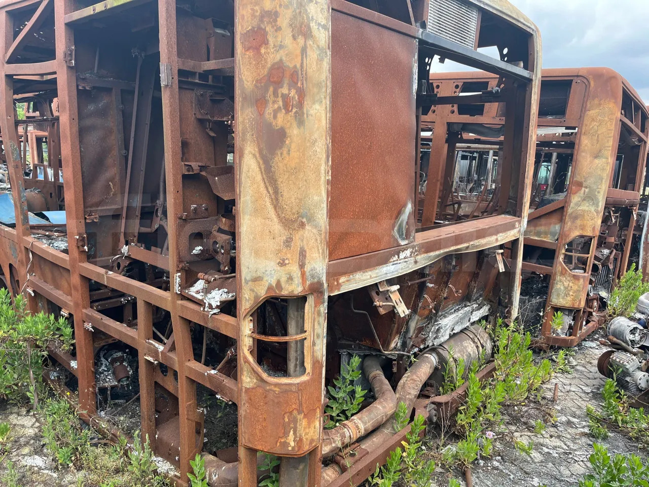 Bundle di 6 mezzi Mercedes-Benz - EVOBUS O530NU Irisbus - 491E Mercedes-Benz - EVOBUS O530NU Mercedes-Benz - EVOBUS O530NU Irisbus - 491E Mercedes-Benz - EVOBUS O530NU - Bus urbain: photos 3 Bundle di 6 mezzi Mercedes-Benz - EVOBUS O530NU Irisbus - 491E Mercedes-Benz - EVOBUS O530NU Mercedes-Benz - EVOBUS O530NU Irisbus - 491E Mercedes-Benz - EVOBUS O530NU - Bus urbain: photos 3