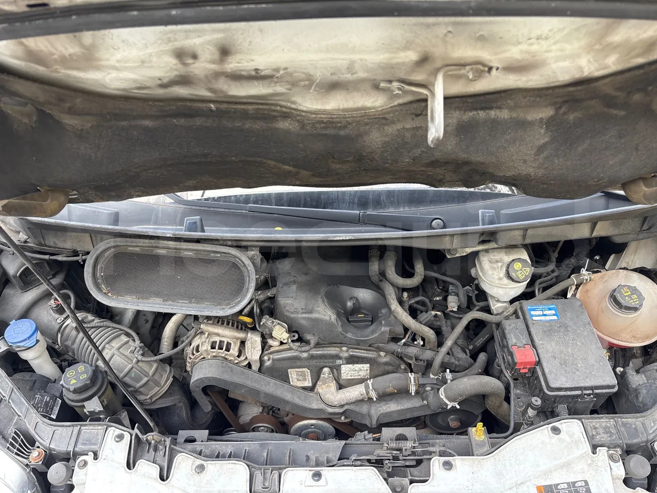 Crédit-bail de  Ford Transit Ford Transit: photos 15