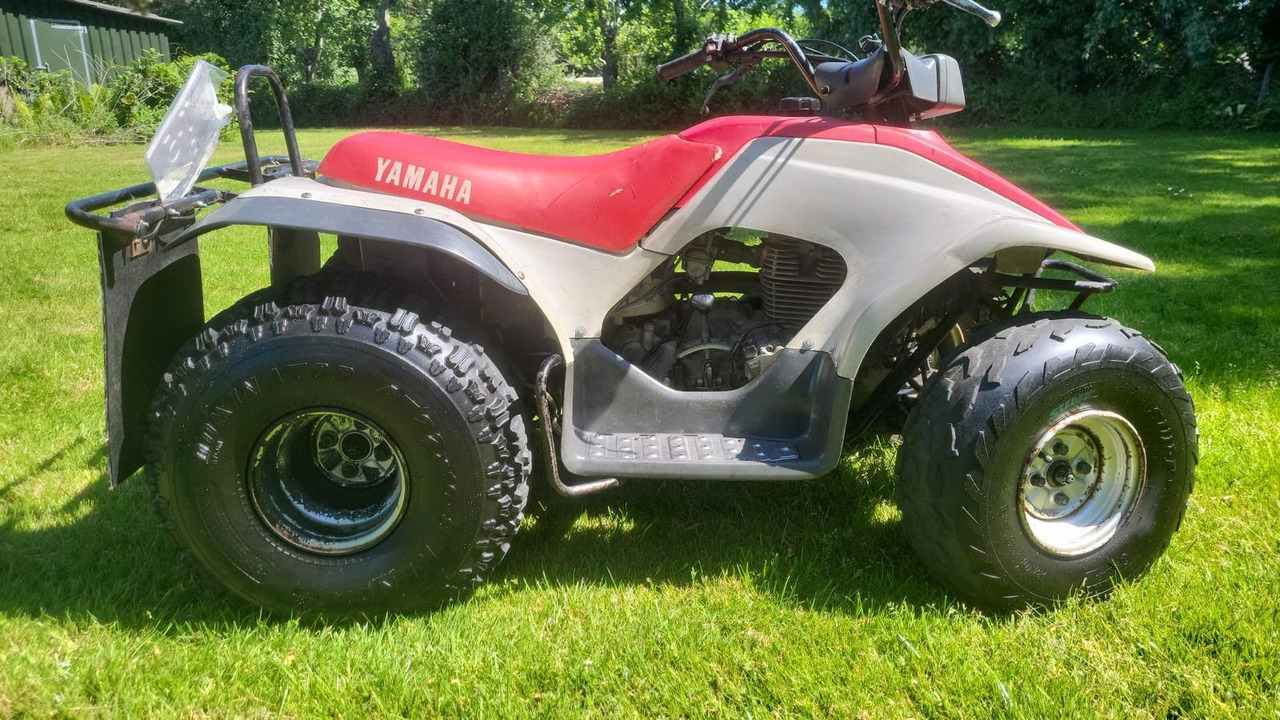 Yamaha BREEZE 125cc Quad T-50-BLG - Quadricycle: photos 4 Yamaha BREEZE 125cc Quad T-50-BLG - Quadricycle: photos 4