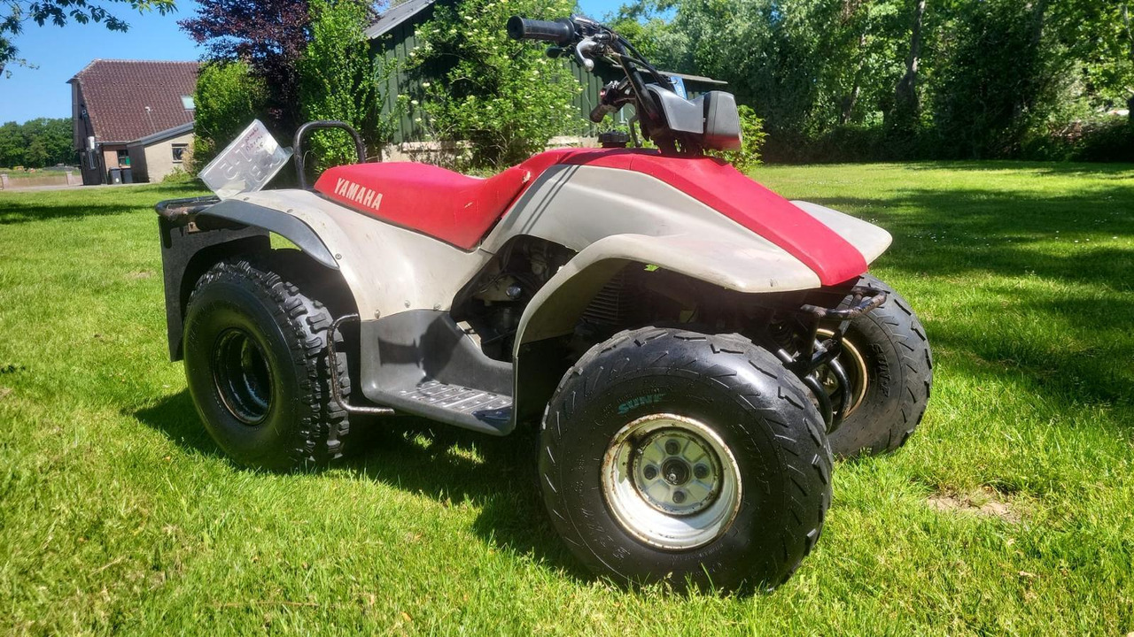 Yamaha BREEZE 125cc Quad T-50-BLG - Quadricycle: photos 3 Yamaha BREEZE 125cc Quad T-50-BLG - Quadricycle: photos 3