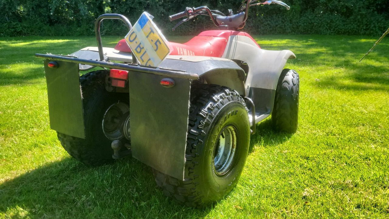 Yamaha BREEZE 125cc Quad T-50-BLG - Quadricycle: photos 5 Yamaha BREEZE 125cc Quad T-50-BLG - Quadricycle: photos 5