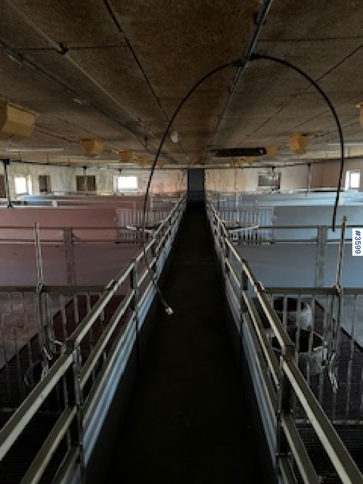 Matériel d'élevage WEDG Pig House interior!: photos 7