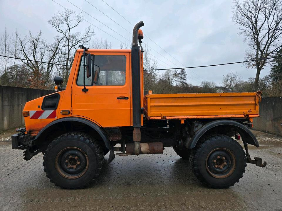 Unimog U1400 Agrar bj. 1995 424 427/10 Mercedes-Benz 1400 1600 1200 1000 - Camion benne, Véhicule de voirie/ Spécial: photos 5 Unimog U1400 Agrar bj. 1995 424 427/10 Mercedes-Benz 1400 1600 1200 1000 - Camion benne, Véhicule de voirie/ Spécial: photos 5