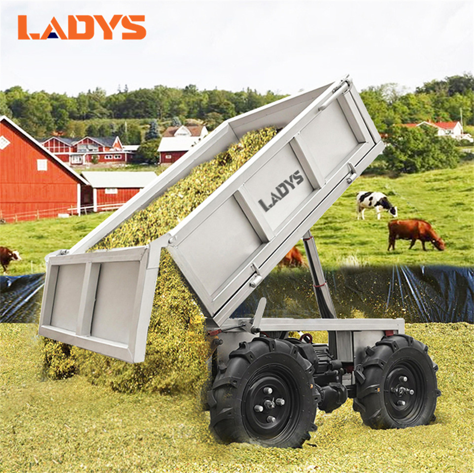 LADYS Electric Remote Control Transporter Agricultural Orchard Farm Electric Utv Material Handling Equipment All Terrain Transport Vehicle - Quadricycle: photos 3 LADYS Electric Remote Control Transporter Agricultural Orchard Farm Electric Utv Material Handling Equipment All Terrain Transport Vehicle - Quadricycle: photos 3
