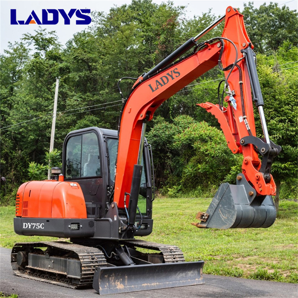 LADYS DY75C Small Excavator Euro 5/Epa Yanmar Engine Small Excavator Crawler Excavator For Sale - Pelle sur chenille: photos 4 LADYS DY75C Small Excavator Euro 5/Epa Yanmar Engine Small Excavator Crawler Excavator For Sale - Pelle sur chenille: photos 4