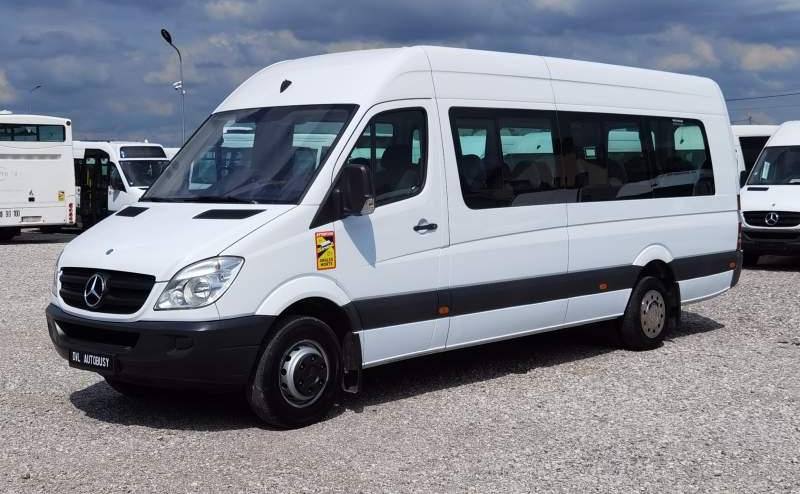 Minibus, Transport de personnes Mercedes-Benz Sprinter 2011 *Euro 5*: photos 17